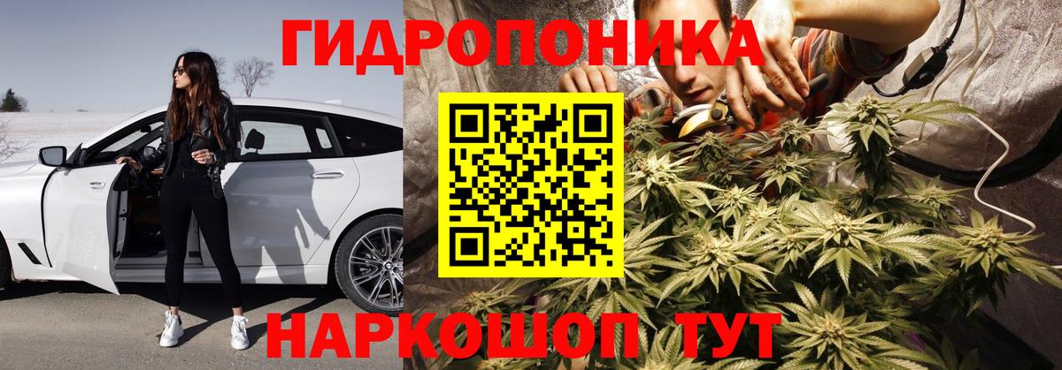 Рыбинск  Конопля план  Вход с VPN  Шишки марихуана сатива  Бошки марихуана тримм 